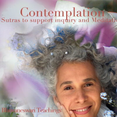 Comtemplation