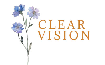 Clear Vision