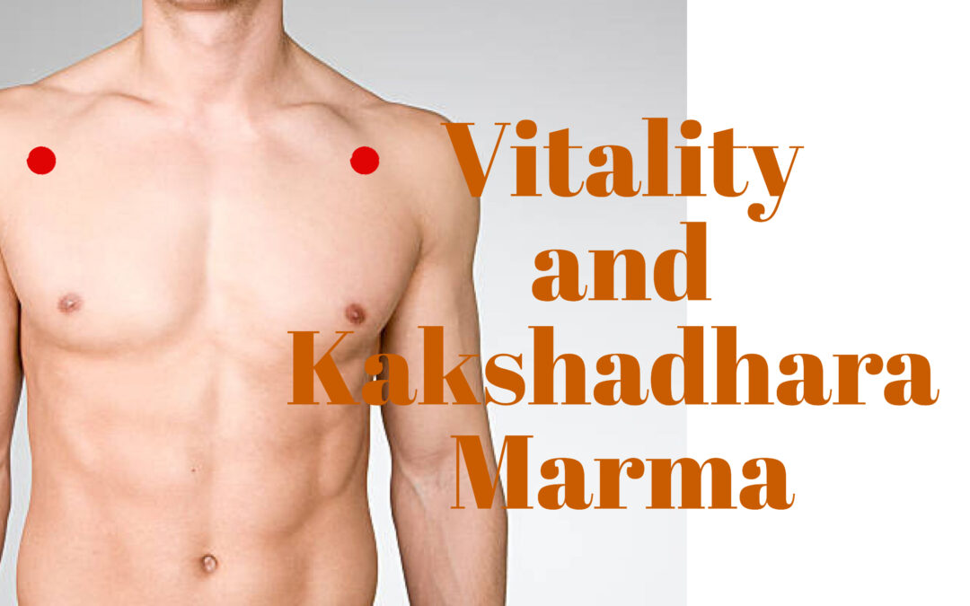 Vitality in the muscles with Kakshadhara Marma