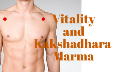 Vitality in the muscles with Kakshadhara Marma