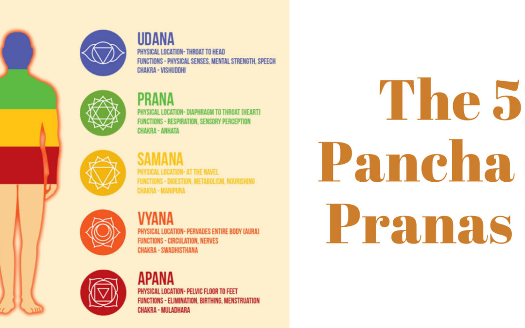 What are the 5 Pancha Pranas ?