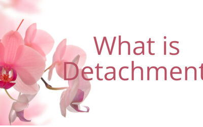 Reflections on detachment