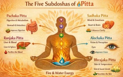 Understanding Pitta Dosha and Its Five Sub-Doshas: The Intelligence of Transformation