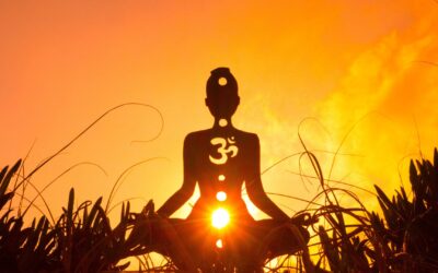 The 3 Gunas as the character of creation