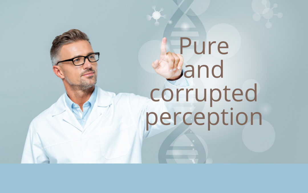 Vidya, Vidyas and the corruption of the perception