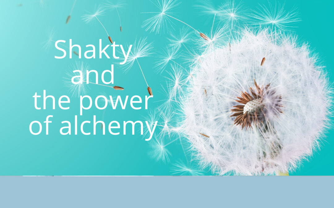 Shakty: the primal force of creation