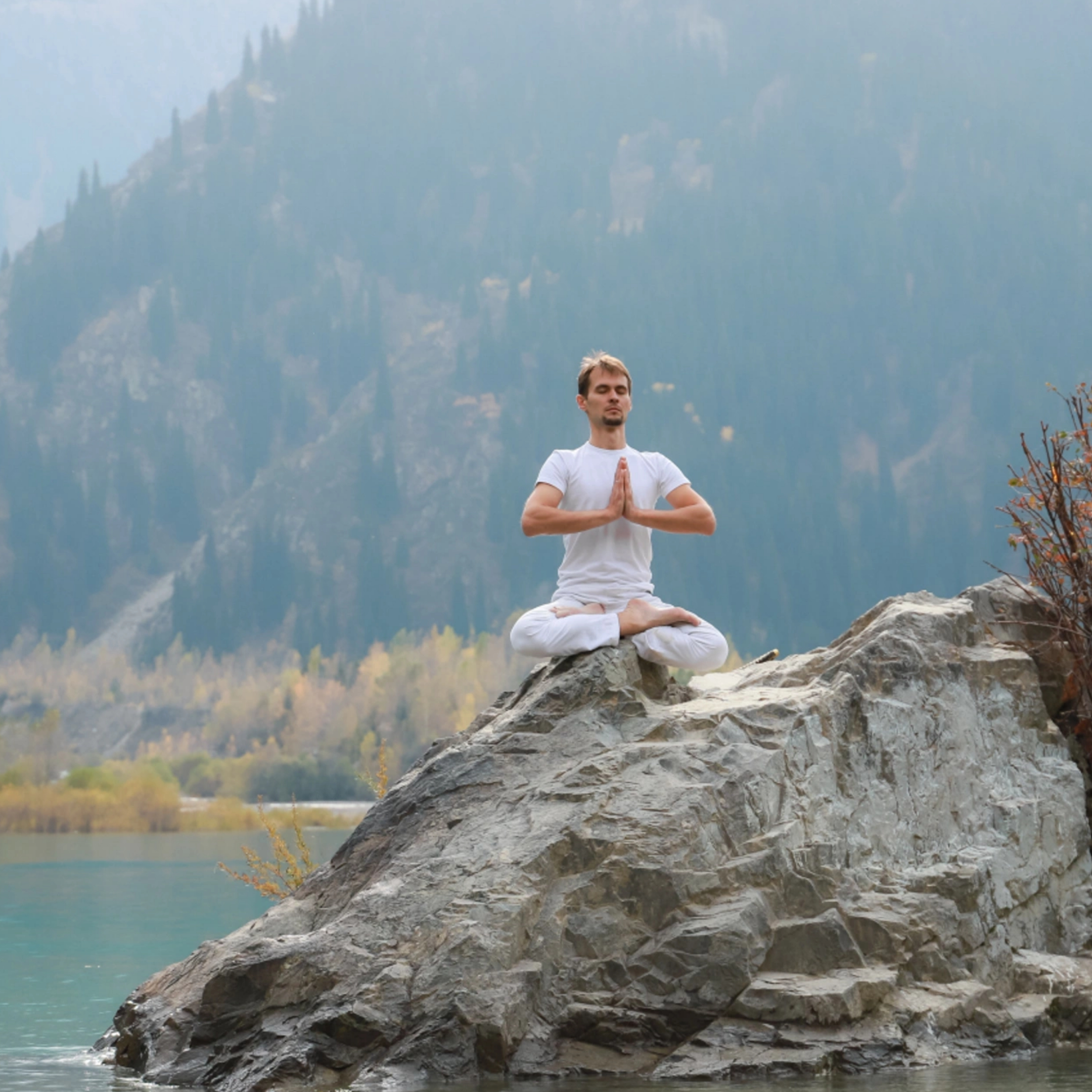 (COPY) (COPY) (COPY) (COPY) (COPY) (COPY) (COPY) (COPY) (COPY) (COPY) (COPY) (COPY) (COPY) (COPY) (COPY) 01 - Instagram Post