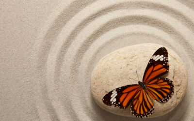 Spirals of Belonging: Why Separation Is the Soul’s Secret Mirror