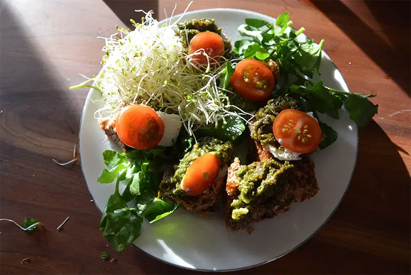 Ayurvedic detox meal with fresh sprouts, greens, and herbal chutney as part of wellness program in Ottawa supporting digestion and body purification