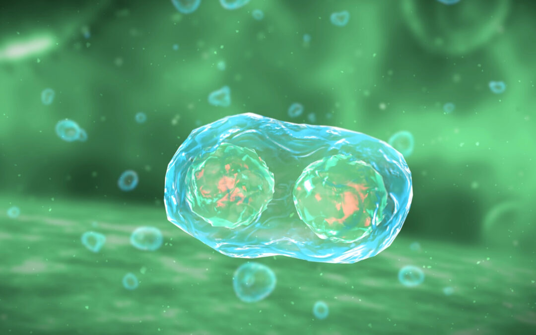 “Cellular Awakening: Embodying the New Earth Frequency”